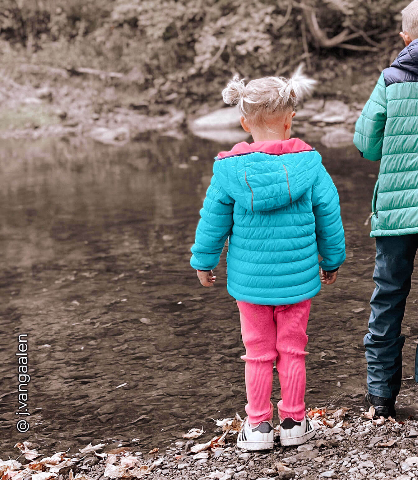 Acacia Girls Lightweight Quilted Jacket - Image 5