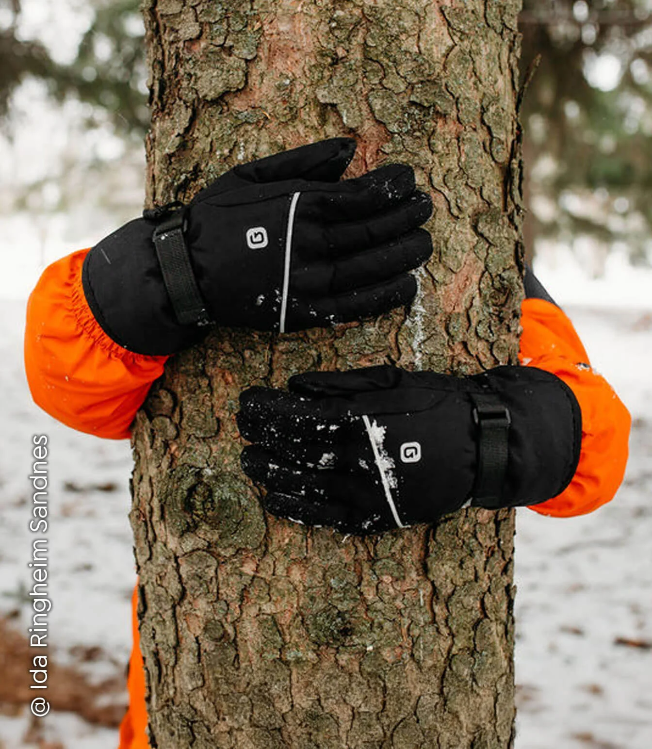 Aiden Winter Gloves 2.0 - Image 3