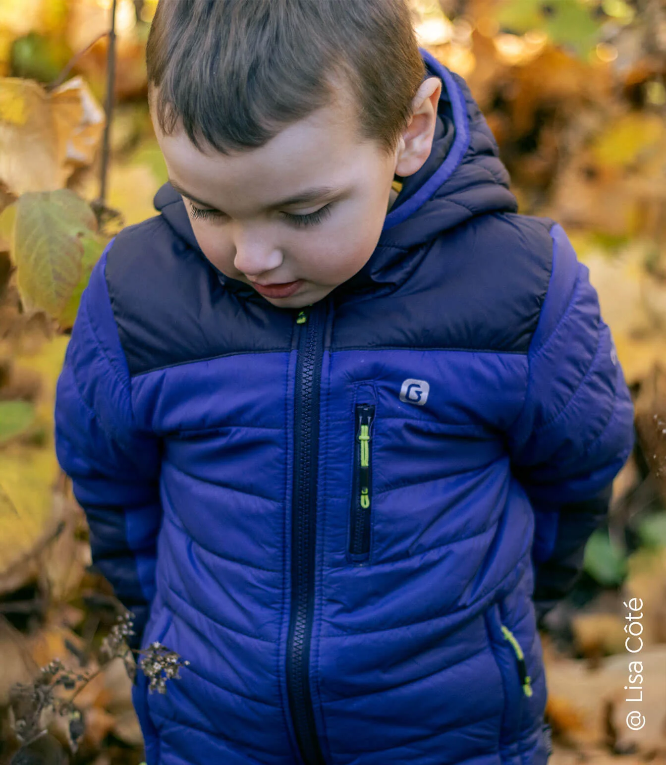 Canyon Boys Lightweight Quilted Jacket - Image 15