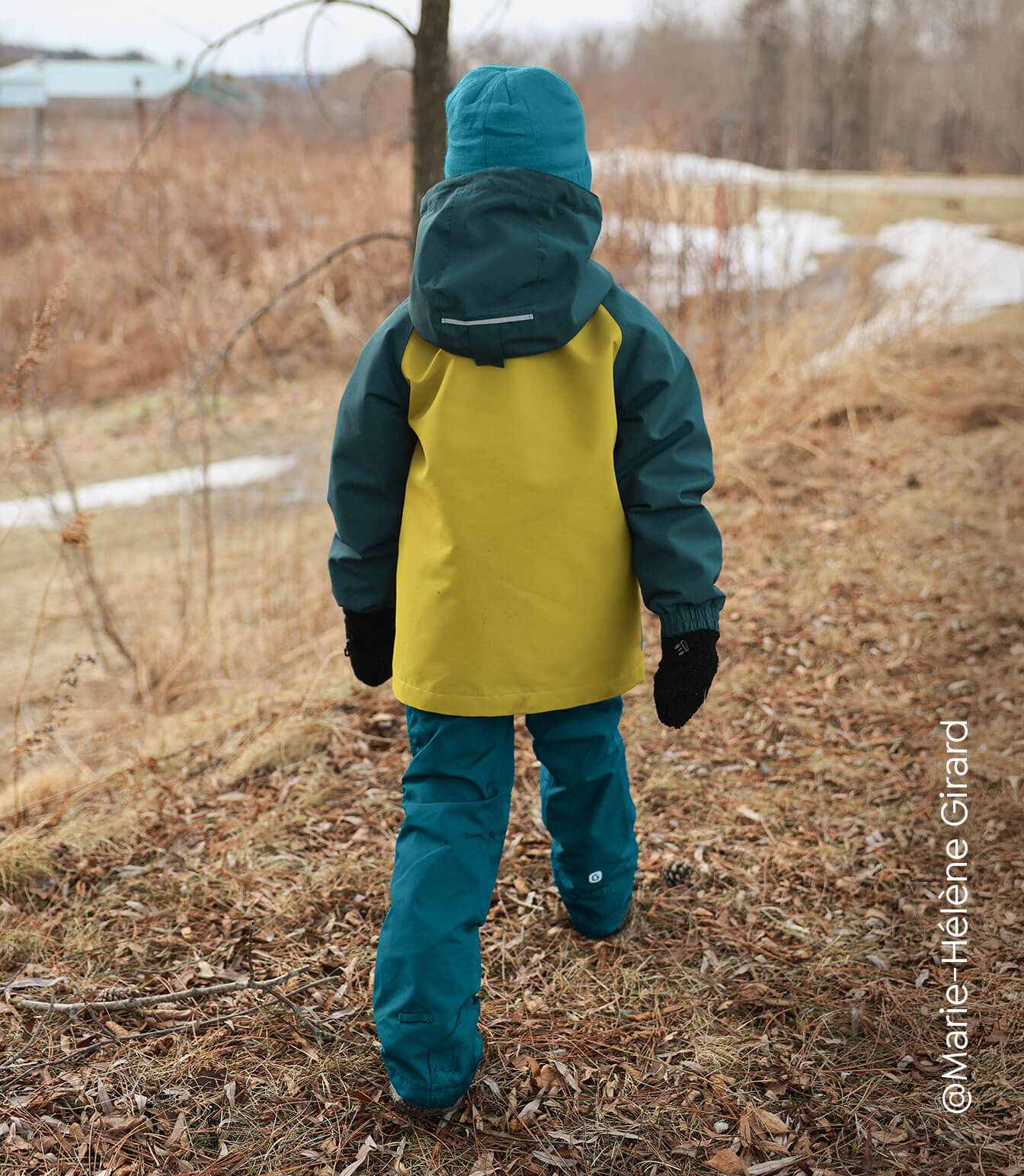 Carter Boy Shell Jacket 3.0 - Image 4