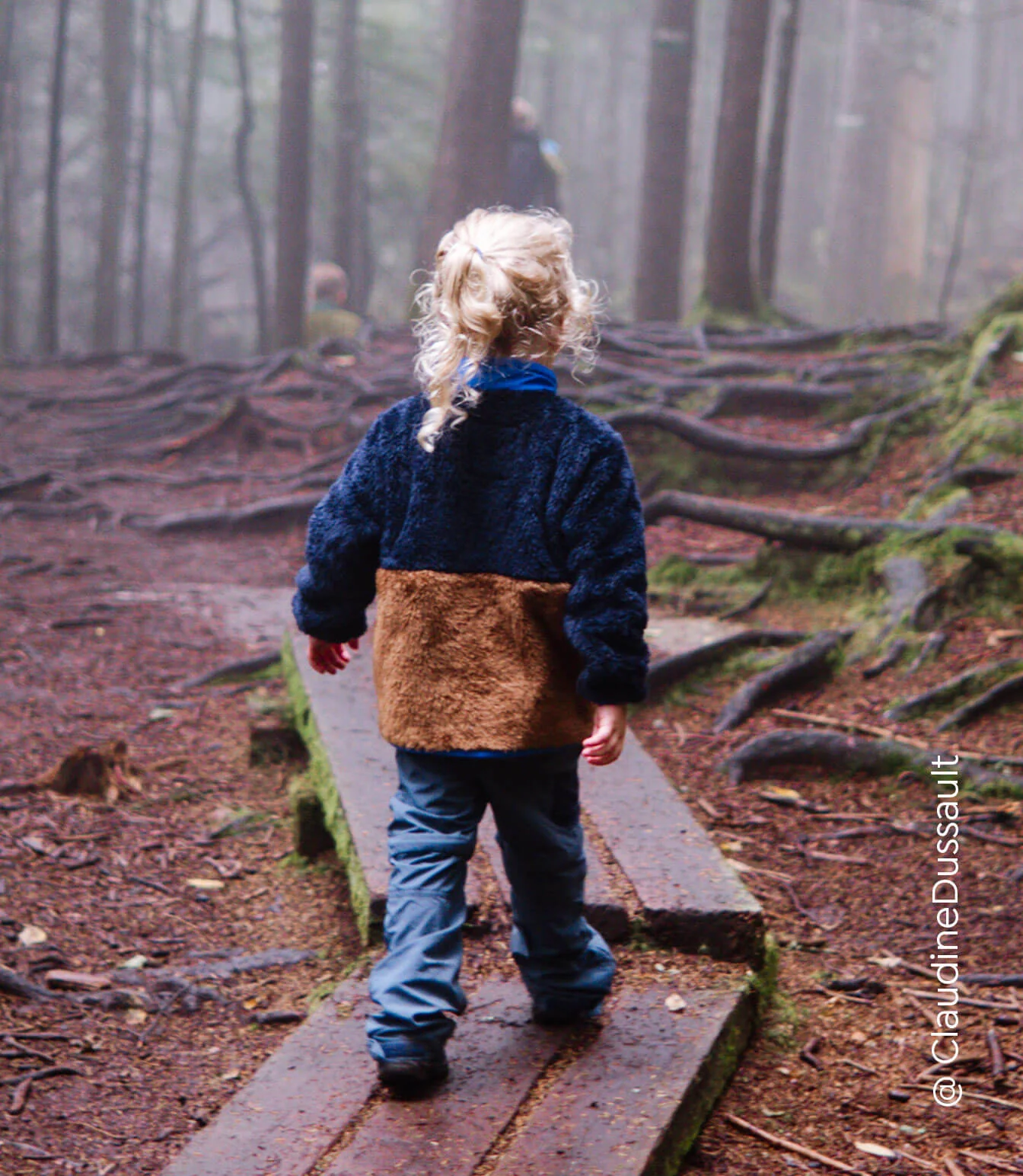 Shane Sherpa Jacket - Image 16
