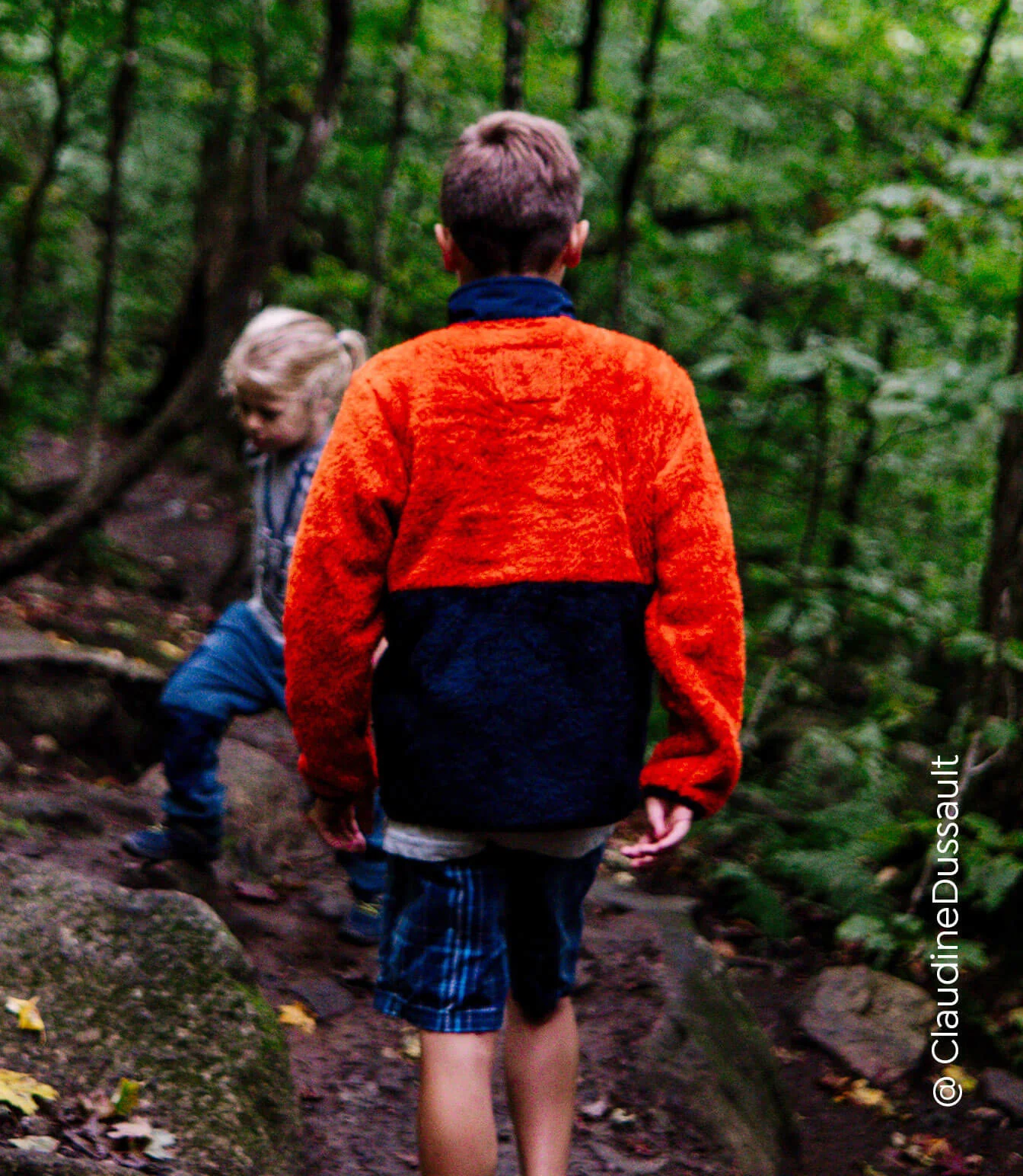 Shane Sherpa Jacket - Image 7